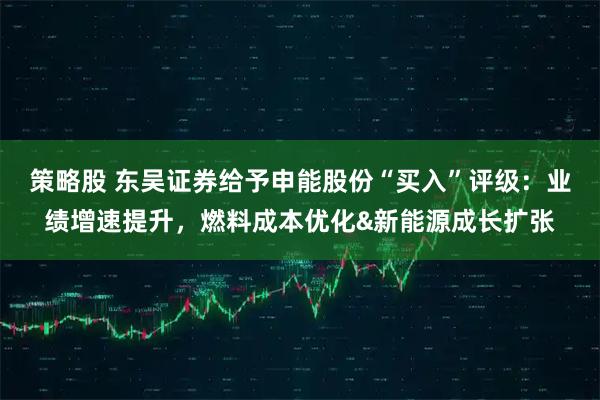 策略股 东吴证券给予申能股份“买入”评级：业绩增速提升，燃料成本优化&新能源成长扩张