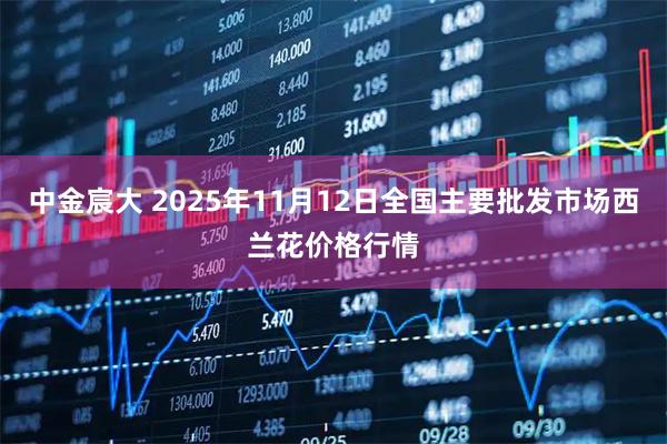 中金宸大 2025年11月12日全国主要批发市场西兰花价格行情