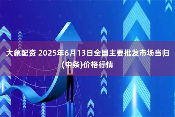 大象配资 2025年6月13日全国主要批发市场当归(中条)价格行情