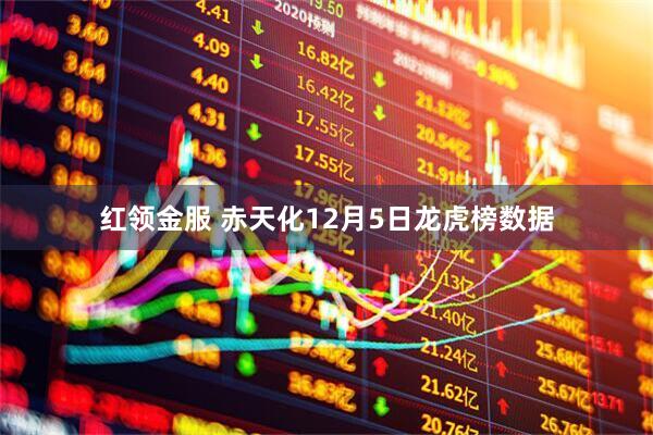 红领金服 赤天化12月5日龙虎榜数据